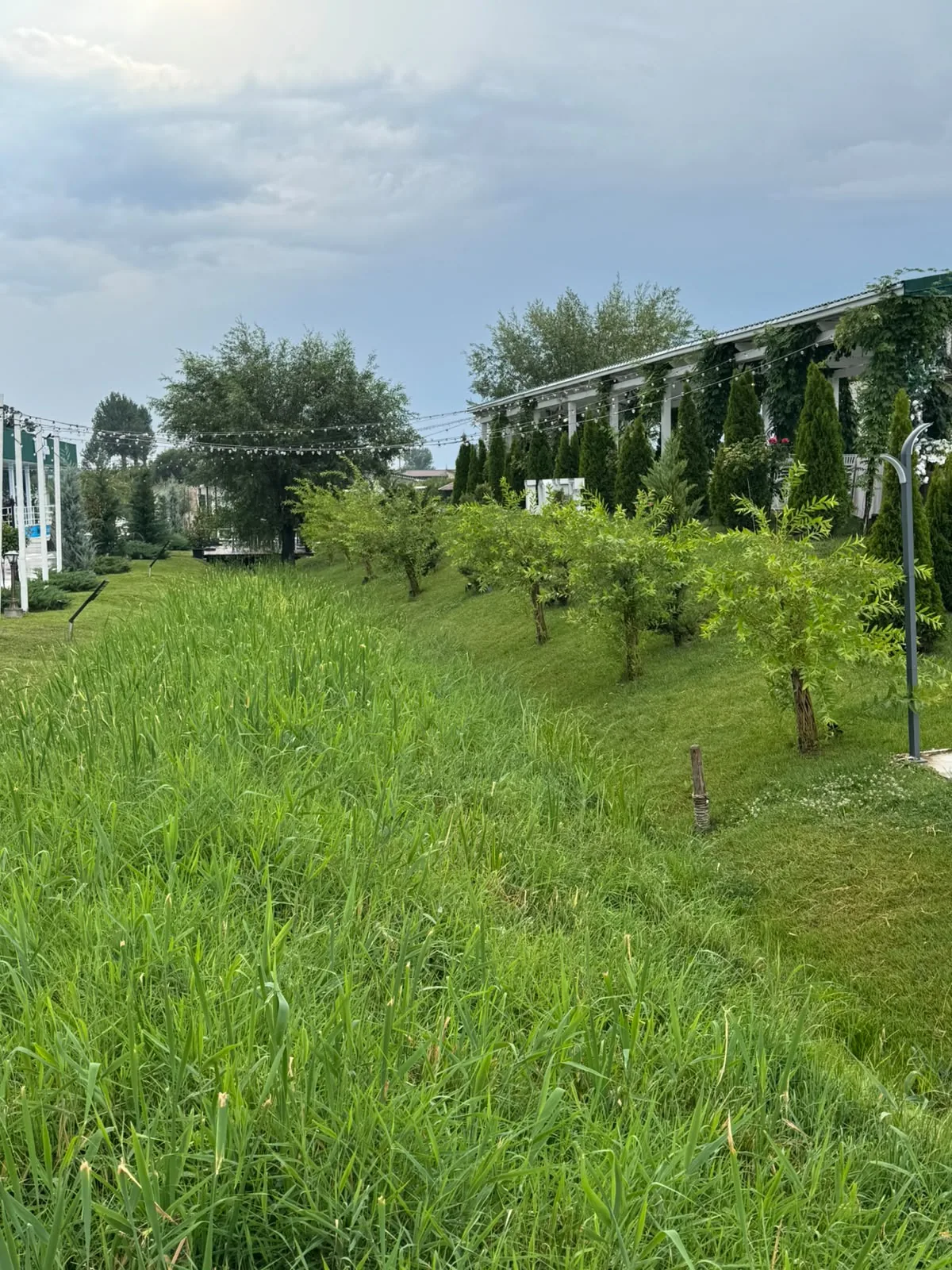 Grădina Roxana — vegetația și luminile suspendate
